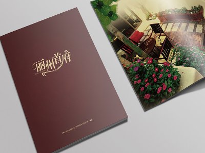 丽州首府楼书高档画册设计印刷